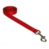 Sassy Dog Wear SOLID RED XS-L 4 ft. Nylon Webbing Dog Leash; Red - Extra Small