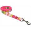 Sassy Dog Wear STRIPE-NEON PINK4-L 6 ft. Multi Stripe Dog Leash; Neon Pink - Large