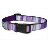 Sassy Dog Wear STRIPE-PURPLE-MULTI4-C Stripe Dog Collar; Purple - Large
