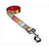 Sassy Dog Wear STRIPE-RED-MULTI4-L 6 ft. Multi Stripe Dog Leash; Red - Large