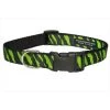 Sassy Dog Wear ZEBRA-GREEN-BLK.4-C Zebra Dog Collar; Green & Black - Large