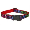 Sassy Dog Wear ZEBRA-RAINBOW2-C Zebra Dog Collar; Rainbow - Small