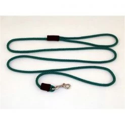 Soft Lines P10406EMERALDGREEN Small Dog Snap Leash 0.25 In. Diameter By 6 Ft. - Emerald Green