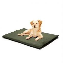 PAW 2 in. Orthopedic Foam Pet Bed - Suede Forest - Large