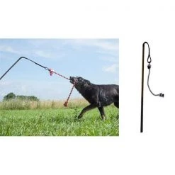 Tether Tug BIG Tether Tug Dog Toy for Dogs over 70 pounds