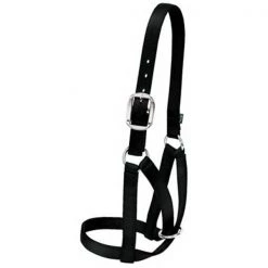 Weaver Leather 35-8004-BK Medium Cow Barn Halter - Black