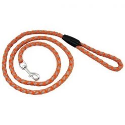 Westminster Pet Products 41304 6 in. Orange Reflective Braided Lead