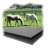 Ultimate Rb 40030400004625 4 x 6 x 0.75 in. Tenderfoot Stall Mat; Pack of 25