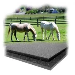 Ultimate Rb 40030400004625 4 x 6 x 0.75 in. Tenderfoot Stall Mat; Pack of 25