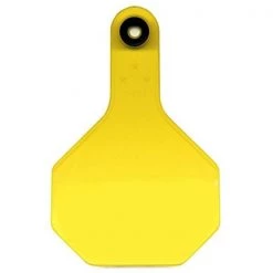 Y-Tex 7713000 3 Star Blank Tag - Medium; Yellow