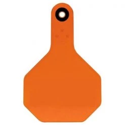 Y-Tex 7703000 4 Star Blank Tag - Medium; Orange
