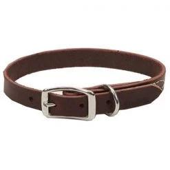 Coastal Pet Products Coastal Pet 02106 B LAT18 .75 x 18 in. Leather Dog Collar