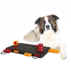 TRIXIE Pet Products 32025 Dog Activity Move-2-Win - Level 3