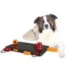 Fly Free Zone,Inc. Dog Activity Move-2-Win - Level 3