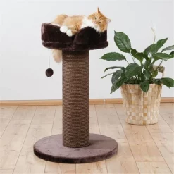 TRIXIE Pet Products 44470 Pepino Scratching Post