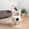 Fly Free Zone,Inc. Baza Grande Cat Tower