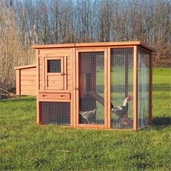 TRIXIE Pet Products 55961 Chicken Coop With Outdoor Run - Glazed Pine - Glazed Pine