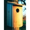 WoodLink FLICKER 2-1/2" Hole Flicker House