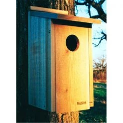 WoodLink FLICKER 2-1/2" Hole Flicker House