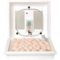 Little Giant 9300 Egg Incubator, 110 V, Styrofoam