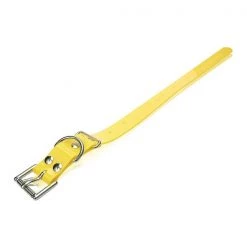 Dogtra Extra Dog Collar Strap Yellow 1" x 24"
