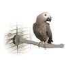 K&H Pet Products Bird Thermo-Perch Gray 13" x 1.25" x 1.25"